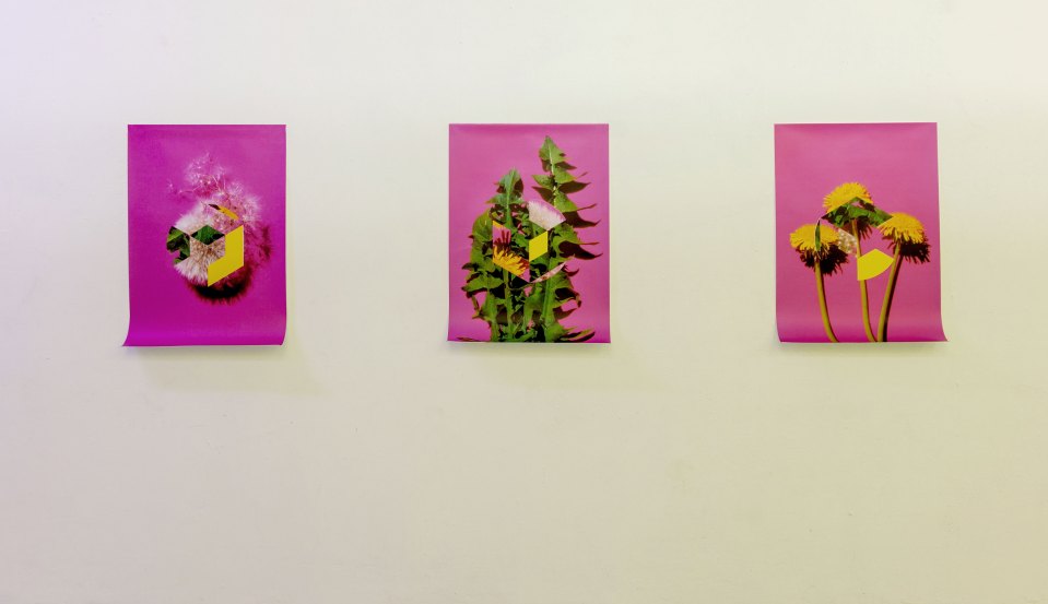 hc_install_nofloor_web