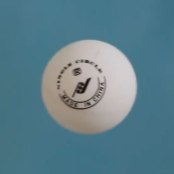 singlecirclethumbweb