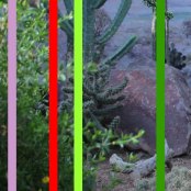 thegardenwithpithumb